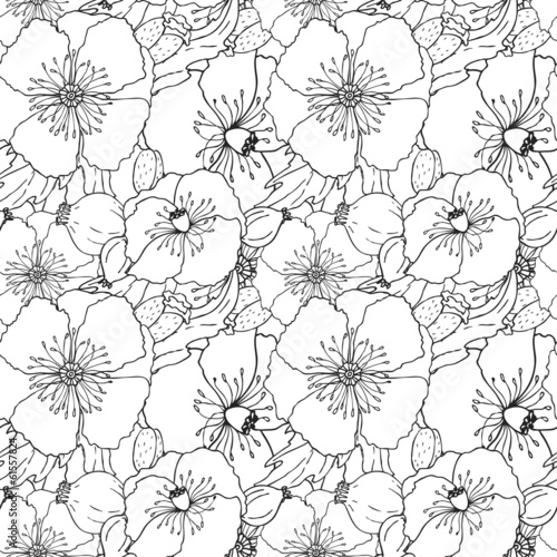 Vector pattern with poppies flowers  black-white