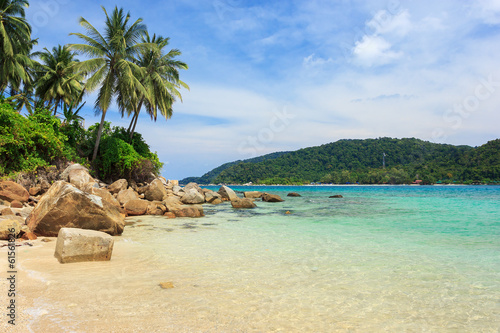 Sandy beach with coconut palms, Perhentian Island photo