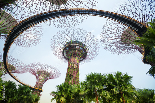 Supertree Grove, Singapore