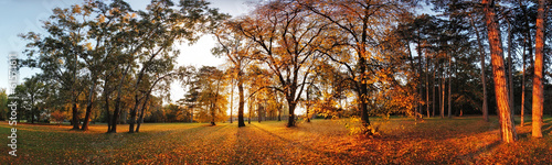 Autumn panorama in park #61571611