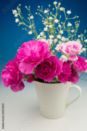 Wallpaper Mural カーネーション Torontodigital.ca