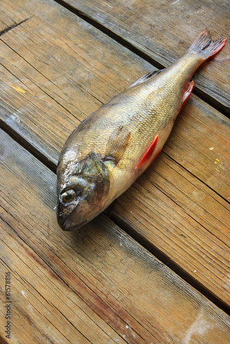 fish on the wooden board