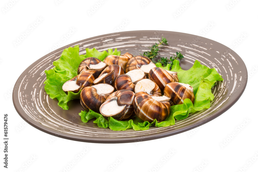 Escargot Escargot