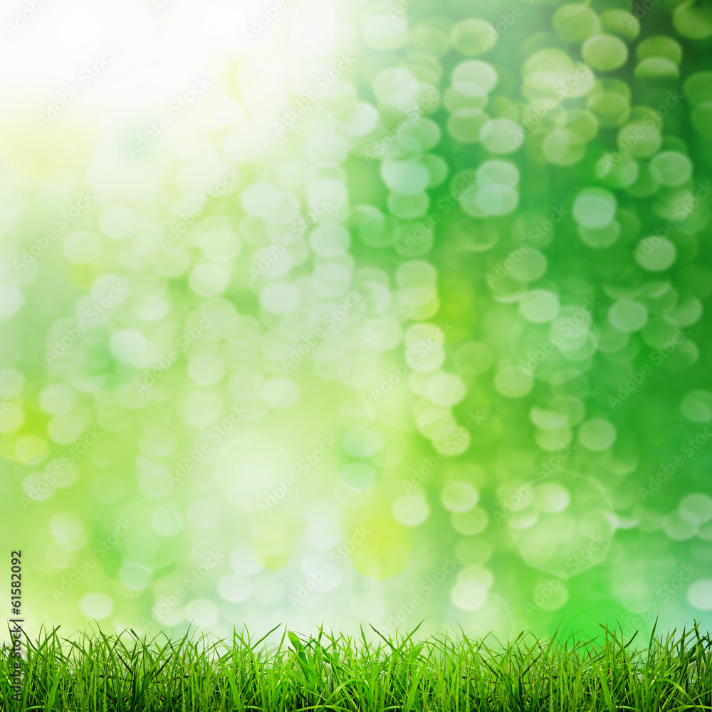 Obraz premium grass