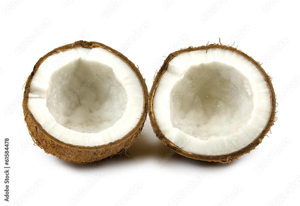 isolated image of coconut on a white background isolated image of coconut on a white background