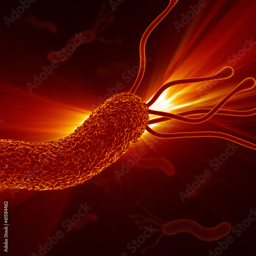 Helicobacter Pylori - Closeup / Detailed Zoom photo