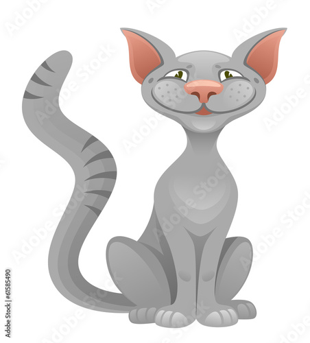 Funny cat