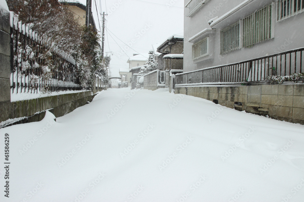 Fototapeta premium The heaviest snow in decades in Tokyo and other areas of Japan