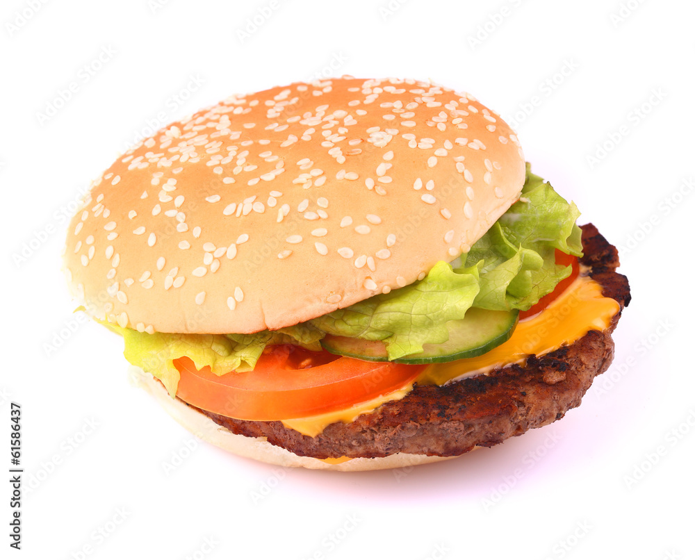Tasty sandwich on white Tasty sandwich on white