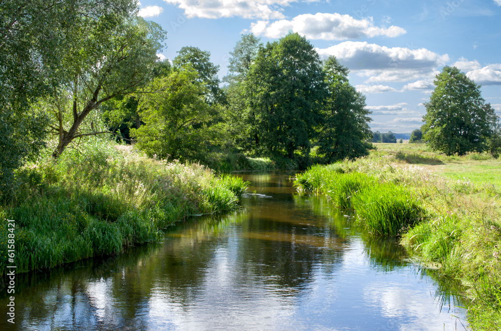 Obraz premium Little river is in the forest