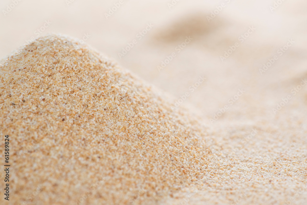 Garlic Spice Garlic Spice