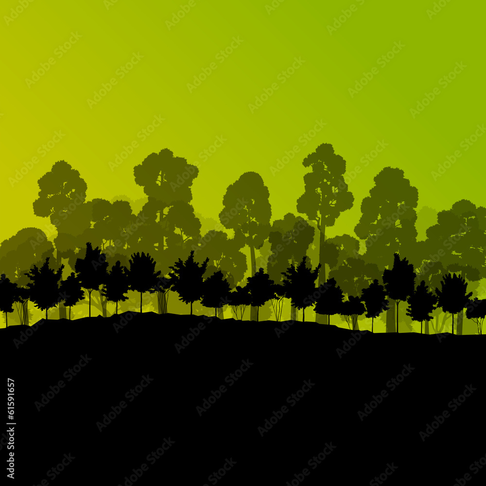 Forest trees silhouettes natural wild landscape detailed illustr
