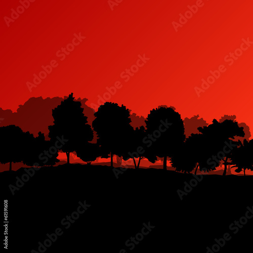 Forest trees silhouettes natural wild landscape detailed illustr