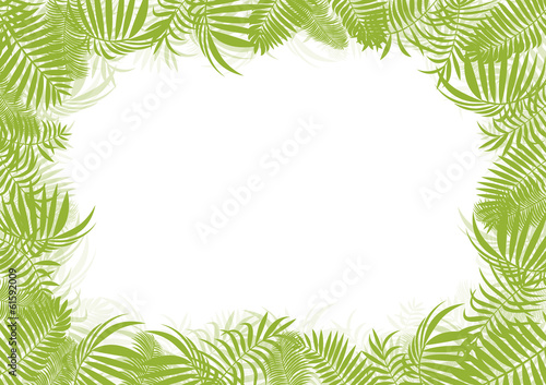 Tropical jungle rain forest vector background blank frame templa