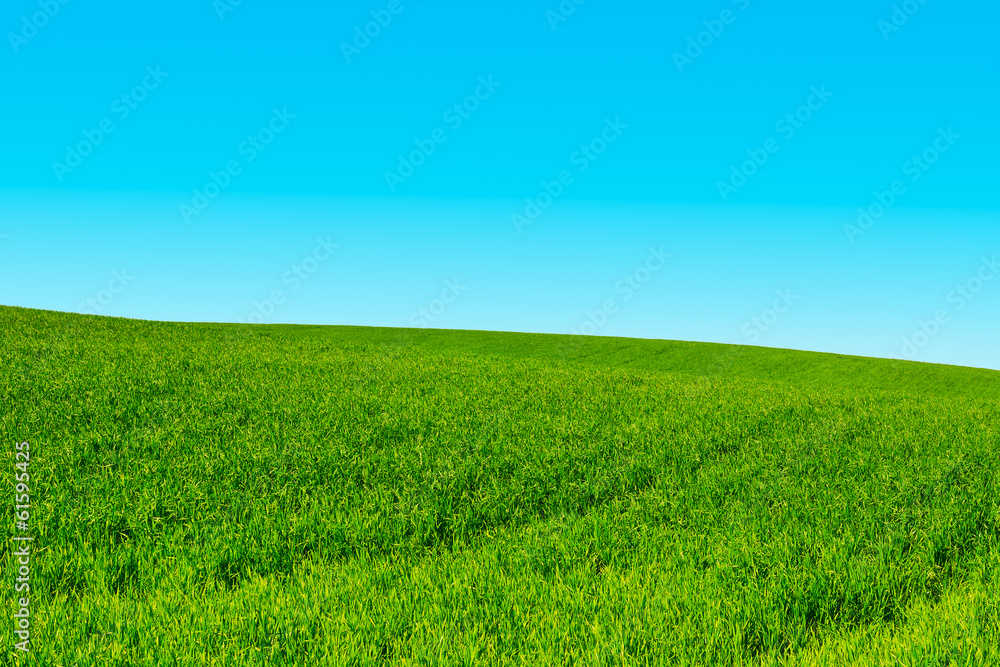 Naklejka premium Green Grass