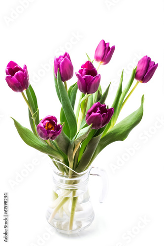 Purple tulips isolated on white background © Diana Vyshniakova