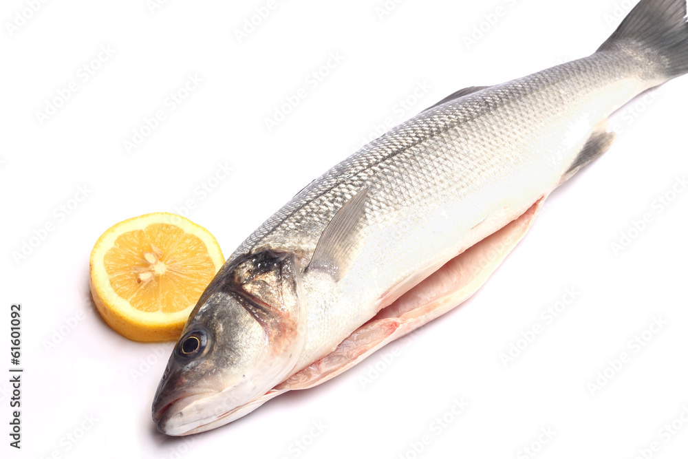 Sea bass isolated on white background with lemon Sea bass isolated on white background with lemon