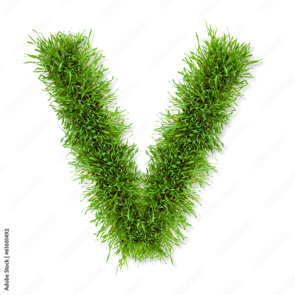 Grass letter Grass letter