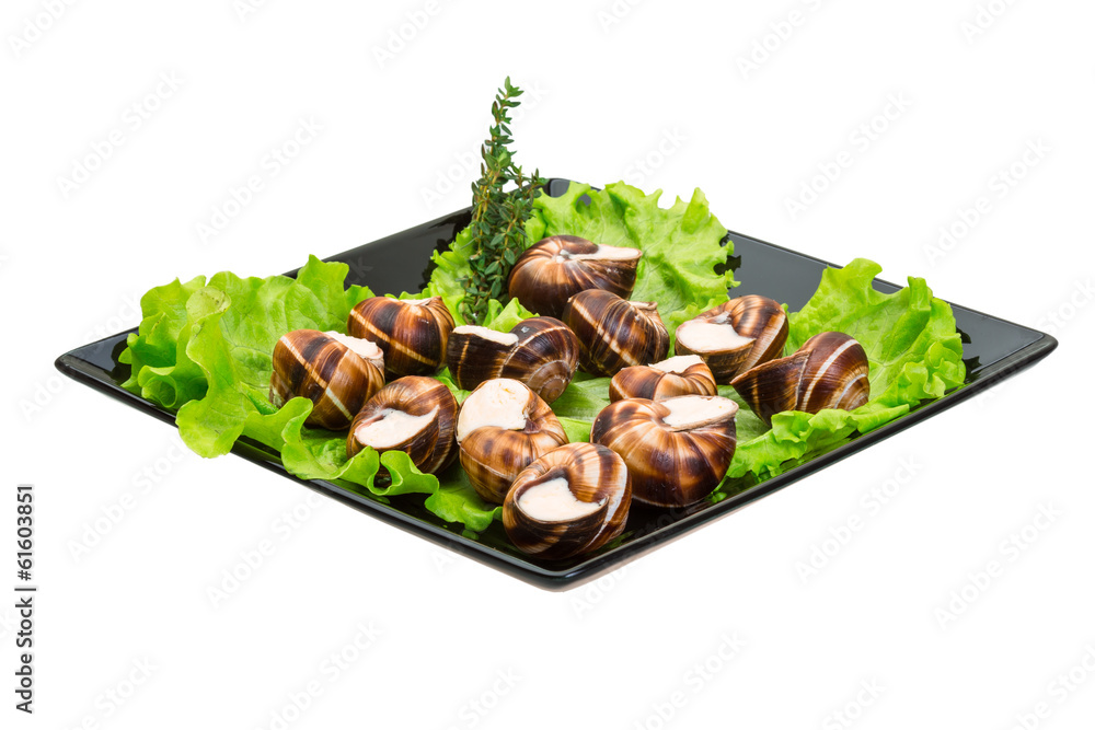 Escargot Escargot