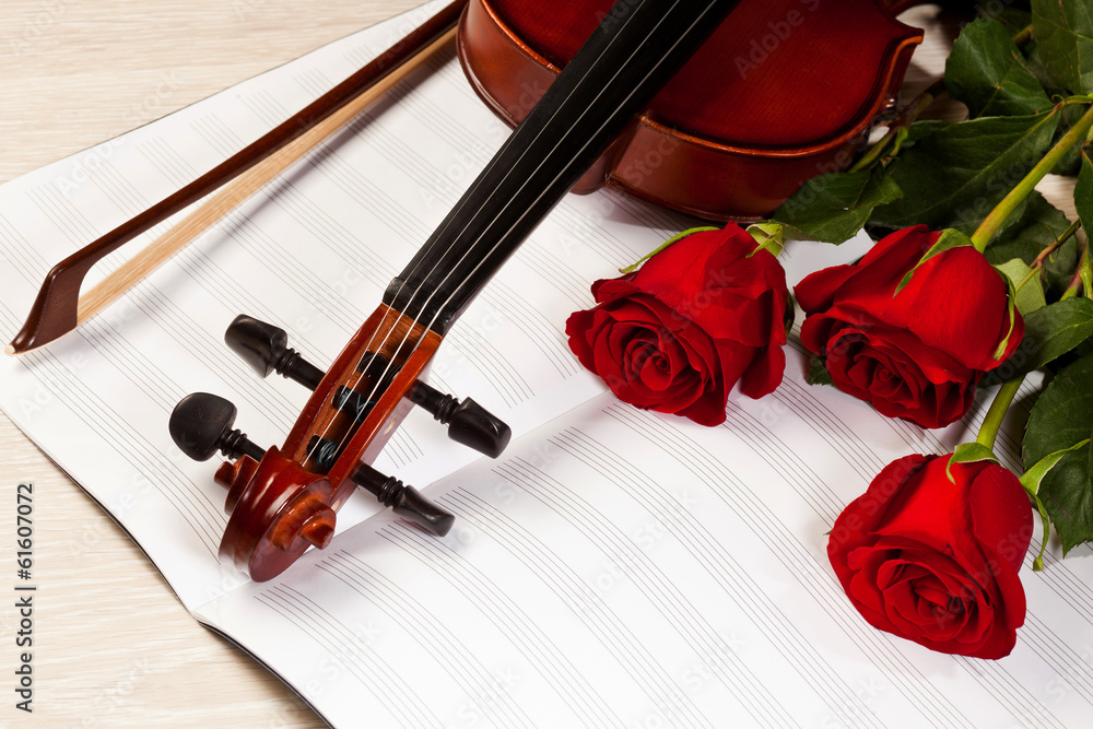 Fototapeta premium Red roses and a violin
