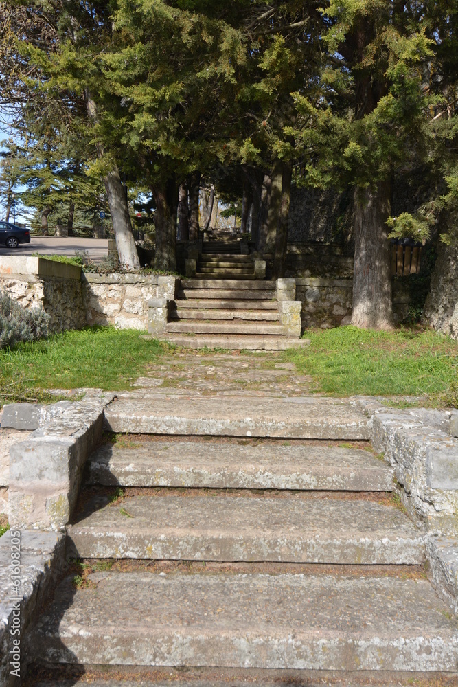 Escaleras de piedra bajo arboles
