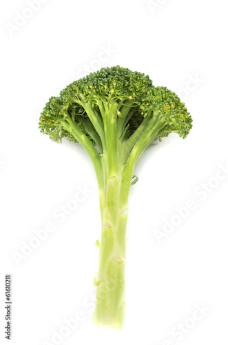 Fresh long and lean  broccoli in closeup