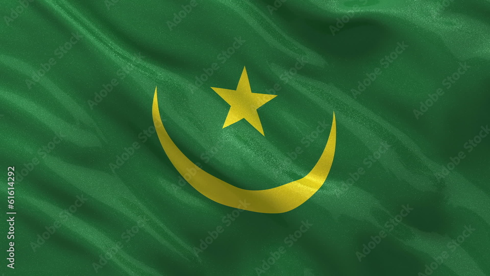 Flag of Mauritania waving in the wind - seamless loop Flag of Mauritania waving in the wind - seamless loop