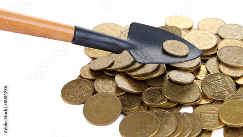 Принти на полотні Coins with shovel isolated on white