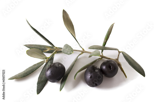 olives with background