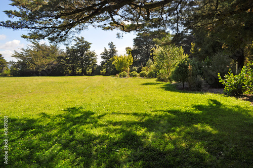 Grass field and various trees on background