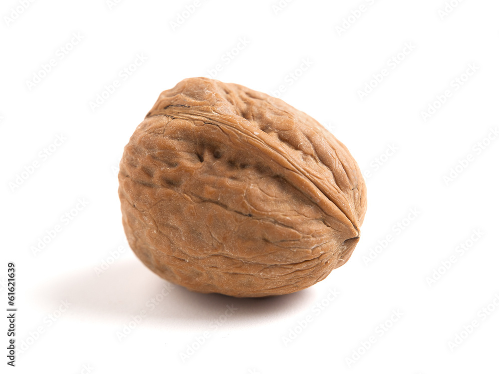 Walnut isolated on white Walnut isolated on white