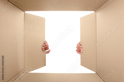 hand open cardboard box © Odua Images