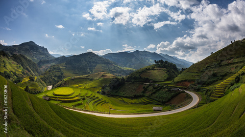 Rice field at Mu Cang Chai, Yenbai province, Vietnam photo