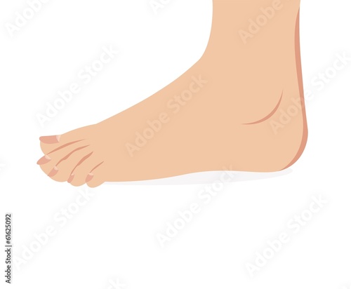 vector of female foot standing  human foot