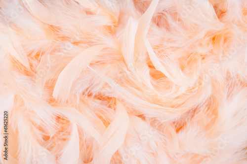 Peach feathers background