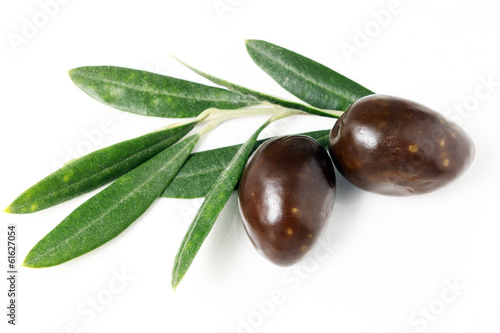 Olive mature e foglie d'ulivo#3