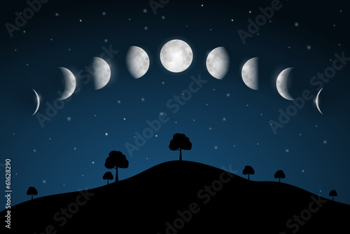 Moon Phases - Night Landscape with Trees
