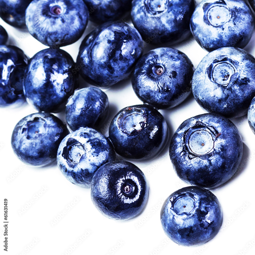 Blueberry antioxidant superfood isolated on white background m Blueberry antioxidant superfood isolated on white background m