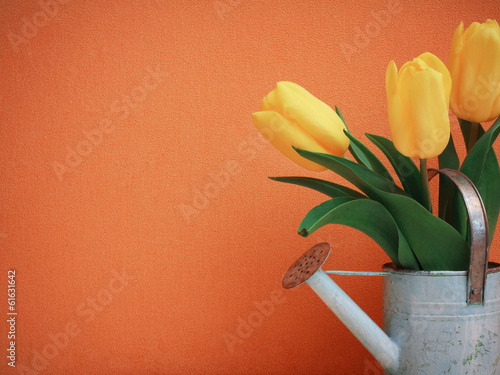 Fototapeta Naklejka Na Ścianę i Meble -  Tulip flowers on orange