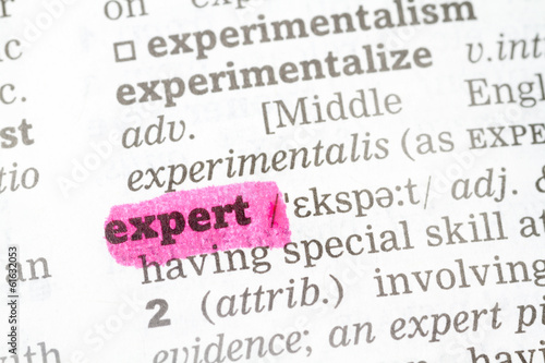 Expert Dictionary Definition