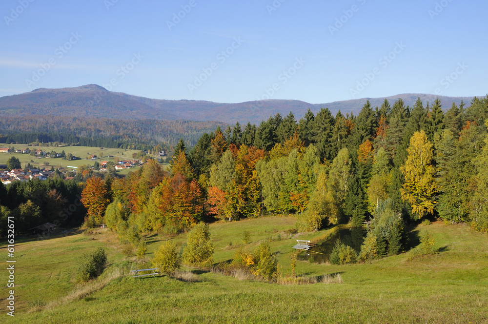Bayerischer Wald StockFoto Adobe Stock