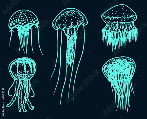 bioluminescent jellyfish doodles