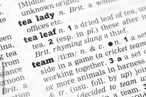 Team Dictionary Definition