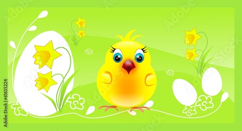 One chicken on easter background