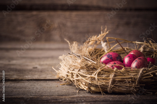 Easter egg nest on rustic wooden background © Maya Kruchancova