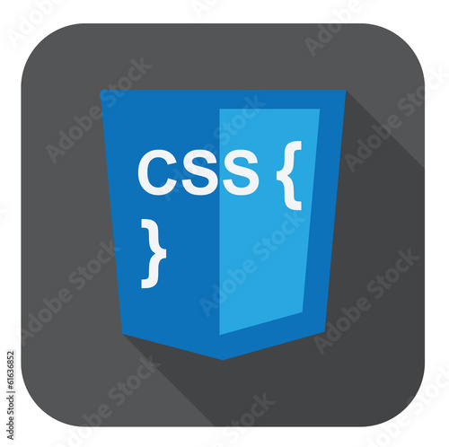 vector illustration of blue shield with css style and curves on