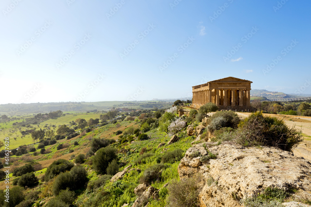 Fototapeta premium Temple of Concordia