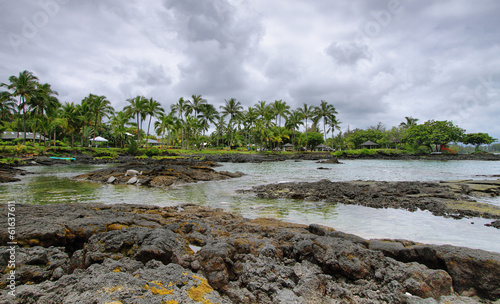 Landscape with turtles in Richardon ocean park photo