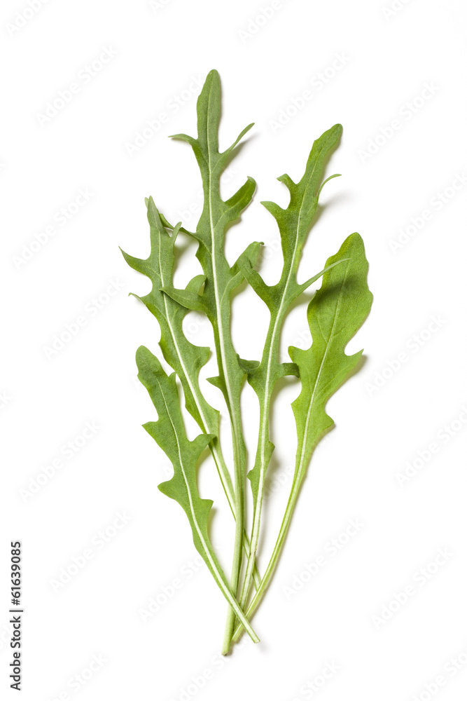 Obraz premium Fresh Ruccola