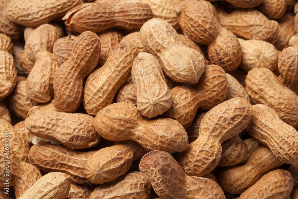 Pile of Raw Peanuts Pile of Raw Peanuts